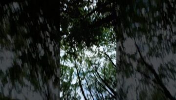 p_sNC7Xd1ng.jpg